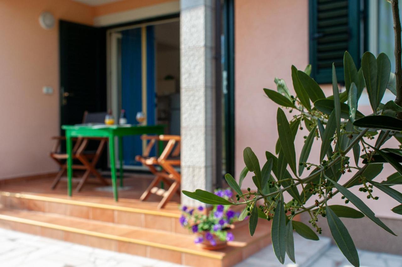 Lavandula Labin (Istria)