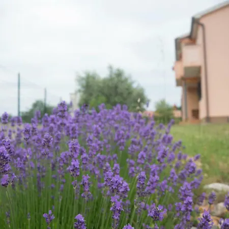 Apartment Lavandula Labin (Istria) Exterior photo