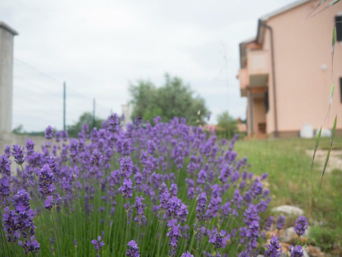 Apartmán Lavandula *